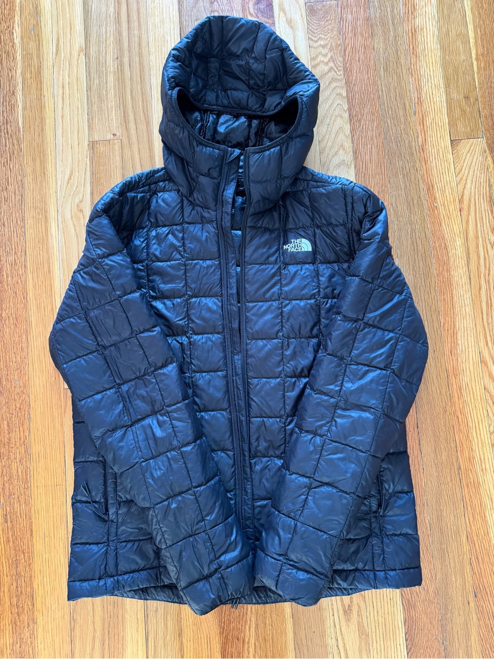 The North Face Men’s Medium Black Lightweight Hooded Puffer Jacket